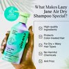 Eva NYC Lazy Jane Air Dry Shampoo, Air Dry Hair Products for Natural Texture and Frizz Control, Vegan and GMO-Free Shampoo, Anti Frizz Hair Products for Women, 8.8 fl oz