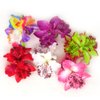 yueton Pack of 6 brooch Women's Orchid Hair Clip Flower Hair Pin Bobby Pin Bridal Party Hair Decor Accessories