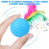 Cat Feather Ball Toys Interactive Golf Balls Assorted Kitten Squeaky Chasing Toy Pack of 24 (Random Color)