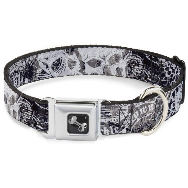 Buckle-Down Dog Collar Seatbelt Buckle Gothic 1 9 to 15 Inches 1.0 Inch Wide, Multicolor, DC-W30701-S