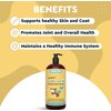 Wonder Paws Fish Oil For Dogs - Omega 3 For Dogs From Alaskan Salmon, Cod & Krill Oil - EPA DHA Fatty Acids - Less Shedding & Itching - Skin, Joint, Immune & Heart Health - 16 oz Pet Liquid Supplement