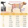Dog Knee Brace for Torn ACL Hind Leg, Dog Knee Braces with Cruciate Ligament Injuries Rear Legs or Front Legs, Adjustable Pain Relief Hip Dysplasia Support Brace for Back Legs, XS