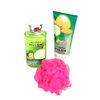 CUCUMBER MELON BATH AND BODY GIFT SET 4 PIECE GIFT SET BATH & BODY GIFT SET BODY CREAM BODY SHOWER GEL BATH FOAM 11 INCH BEAR VALENTINES GIFT SET MOTHER'S DAY GIFT SET BIRTHDAY GIFT SET WOMEN'S BODY GIFT SET CLEAR CELLO WRAPPED WITH RIBBON (COLOR MAY VARY