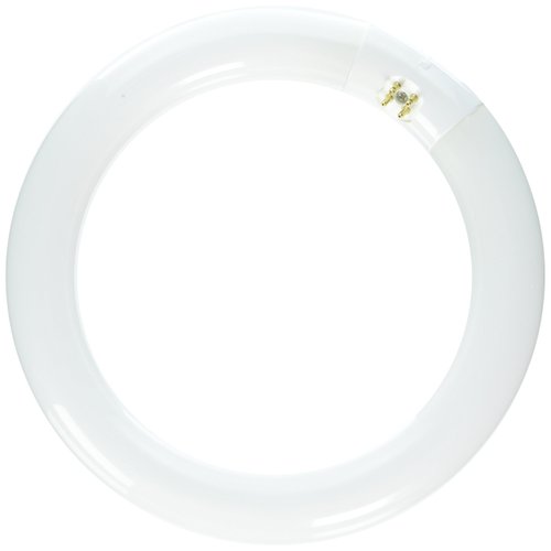 Eiko FC8T9/CW Circline T-9 G10Q Base Halogen Bulb, 22W, Cool White