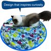 WIDJOQI Cat Toy Balls Cat Hunting Bag cat Hide and Seek Toy Cat Interactive Toy Automatic Rolling Ball Cat Toy Single Play Toy (L-KT)