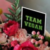3dRose Greeting Cards - Team Vegan - pro veganism fun - green text in retro sporty college sports font on black - 12 Pack - Typography