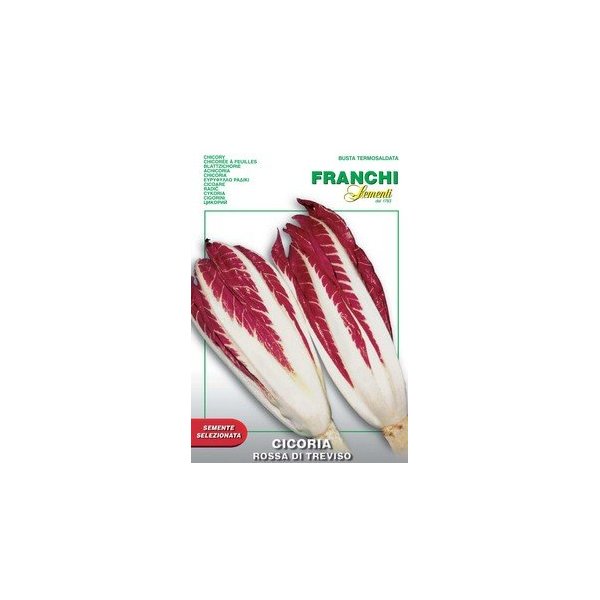 Italian Heirloom Chicory - Rossa Di Treviso
