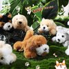 Sumind 8 Pieces Plush Dogs 5 Inch Stuffed Animals Bulk Assorted Cute Stuffed Dogs Small Animal Plush Toys for Girls Boys Graduation Valentine School Classroom Party Supplies Favors(Long Hair Dog)