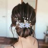 Bridal Hair Combs, 5PCS Wedding Hair Comb Set Crystal Flower Hair Clips Bride Bridesmaid Hair Sides Comb Rhinestone Barrettes, Pearl Flower Hair Pins Hair Accessories for Women Girls (Light Blue)