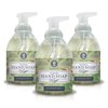 Nature's Oil Foaming Hand Soap, Rosemary Mint, 10 Fluid Ounces (3 Pack)
