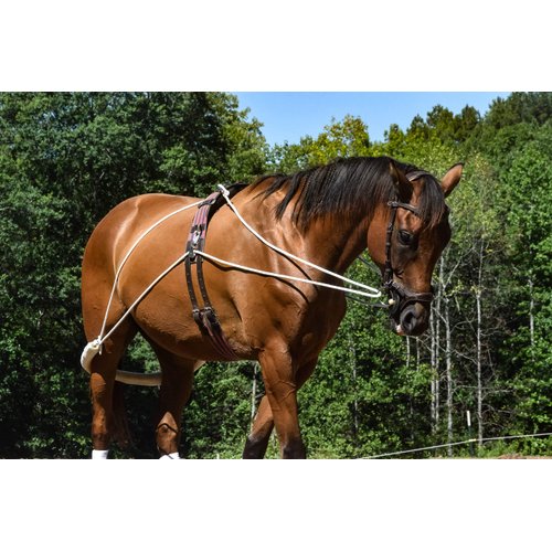 Leaders Training or Lungeing Aid for Horse (Black)