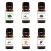Essential Oil Gift Set - Lavender, Tea Tree, Eucalyptus, Lemongrass, Sweet Orange, Peppermint - 6/10ml