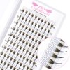Premade Fans Eyelash Extensions 6D-D-0.10-10 Premade Volume Lash Extensions Pointed Base Fans 0.07 Premade Volume Fans C D Curl(6D-D-0.10,10mm)