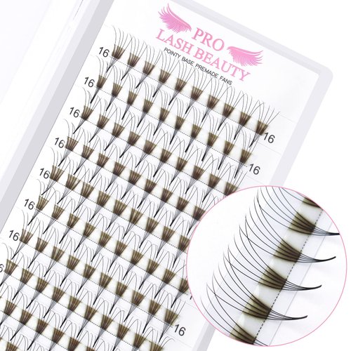 Premade Fans Eyelash Extensions 6D-D-0.10-10 Premade Volume Lash Extensions Pointed Base Fans 0.07 Premade Volume Fans C D Curl(6D-D-0.10,10mm)
