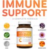 Vitamin C Immune Support Supplement - Immunity Boost Blend with Elderberry Vitamin C and Zinc for Daily & Seasonal Support - Immunity Supplement with Magnesium Zinc Vitamin C and D (1 Month Supply)