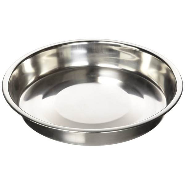 QT Dog - Stainless Steel Puppy Pan 10 in Diameter
