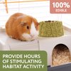 Evergreen Pet Supplies [4 Pack] Furry Friends Timothy Hay Chewing Bowl for Small Pets & Bunnies - Edible Bowls for Guinea Pig Treats - Ferret & Rabbit Toys - Guinea Pig Food Bowl - Bunny Toys