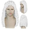 Ebingoo White Judge Wig + Glasses + Wig Cap Judge Colonial Wig Adult Judge Costume Accessories White Lawyer Wig for Men Halloween Party Costume Cosplay