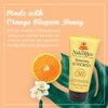 Vitamin C Face & Body Sunscreen Protection (5.5 Oz) - Suncreen Moisturizing Vitamin C Cream - Sunblock - Sunflower Oil & Aloe with Spf 30