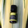 Plantlife Awake Aromatherapy Essential Oil Blend - Straight from The Plant 100% Pure Therapeutic Grade - No Additives or Fillers - Made in California 10 ml