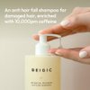 BEIGIC Botanical Recovery Caffeine Shampoo | Korean Hair Care Moisturizing Shampoo for Men & Women w/Vegan Caffeine, Vegan Repair Complex & Argan Oil | Sulfate-Free Vegan Shampoo (10.14 fl Oz)
