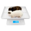 MINDPET-MED Digital Pet Scale for Small Animal, Whelping Scale,Mini Precision Gram Weight Balance Scale, High Precision 1g, Suitable for Newborn Pets