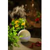 SPT SA-028 USB Globe Ultrasonic Aroma Diffuser/Humidifier