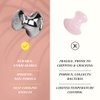 Blumenes Mushroom Gua Sha Facial Tool - Stainless Steel Mushroom-Shaped Facial Massager, Mushroom Face Massager, Lymphatic Drainage & Puffiness Relief