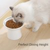 CEEFU Extra Wide Elevated Cat Bowls - Ceramic Cat Food Bowl 6.2" Raised Cat Food Bowls Elevated Shallow Cat Food Dish, Whisker Fatigue, Lead & Cadmium Free, 5" Good Height for Cat Feeding, White