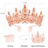 VELSCRUN Rose Gold Crystal Birthday Tiara Crowns for Women Girls It's My Birthday Sash Queen Girls Princess Crown with Combs Happy Birthday Party Decorations Mom Sisters Birthday Gift Hair Accessories