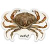 Dungeness Crab Magnet Sticker – Durable, Flexible, and Weatherproof | Vibrant & Eco-Friendly Design | Perfect for Cars, Refrigerators, Lockers, and More | Designed in The USA (3pcs)