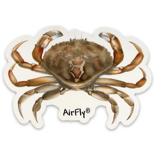 Dungeness Crab Magnet Sticker – Durable, Flexible, and Weatherproof | Vibrant & Eco-Friendly Design | Perfect for Cars, Refrigerators, Lockers, and More | Designed in The USA (3pcs)