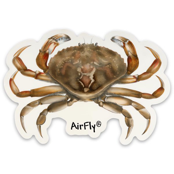 Dungeness Crab Magnet Sticker – Durable, Flexible, and Weatherproof | Vibrant & Eco-Friendly Design | Perfect for Cars, Refrigerators, Lockers, and More | Designed in The USA (3pcs)