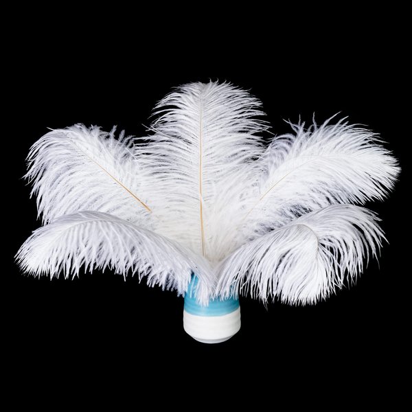 Piokio 20 pcs Natural White Natural Ostrich Feathers Plumes 8-10 inch(20-25 cm) Bulk for DIY Christmas Decorations, Wedding Party Centerpieces, Gatsby Decorations