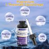 Magnesium L Threonate Liquid Drops 1500mg High Absorption Brain Supplement for Memory Focus Sleep Anxiety Relief Sugar Free Vegan 2.04 Fl Oz