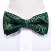 YOHOWA Green Gold Bow Tie and Pocket Square Set Pretied Bow Tie with Gold Diamond Ring