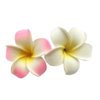 2Pcs White and Pink Flower Hawaiian Frangipani Plumeria Clips and Barrettes Foam Head Flower Party Beach Hair Clip Hair Women's Fashion Clips Hair Accessories 7cm