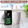 Absolute Ayurvedic Tongue Scraper Cleaner With Copper Metal | Dentist Recommended Tongue Cleaner For Oral Health and Fresh Breath | Oral Hygiene Kit For Adults | Pack of 2 with Travel Case