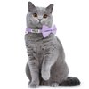 LaReine Personalized Breakaway Cat Collar with Bell & Bow Tie, Stainless Steel Slide-on Pet ID Tag Engraved with Name & Phone Numbers, (Customized - 7"-11" Neck, Bling Purple)