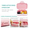 2 Pack Pill Case Organizer,Travel Pill Box with Label, Daily Medicine Organizer Case, Waterproof Pocket Container Case, Portable Pink Supplement Case Medicine Container Compact for for Vitamin