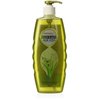 KESH KANTI ALOE VERA HAIR CLEANSER 450ML