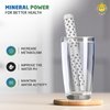 Organic Greek® Alkaline Hydrogen Water Ionizer Stick – Stainless Steel Portable pH Booster & Mineral Water Enhancer
