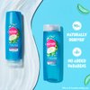 sunsilk Coconut Water & Aloe Vera Volume Hair Shampoo, 195 ml / 6.5 fl.oz