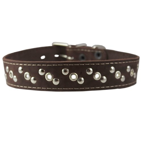 Genuine Leather Studded Dog Collar 22"x1" Brown Fits 15"-19.5" Neck