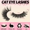 Ahrikiss False Eyelashes Fluffy Cat Eye Lashes 14 Pairs Volume Fake Lashes Lightweight 17mm Natural Lashes Curly Soft Eye Lashes Pack P01