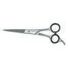 CAPRA-FALCONERI Hairdressing Scissors with Comfortable Handle, 6.5"", High Carbon Steel, Super Cut Sharp Blades, Professional Salon & Barber Shears (3, Silver)