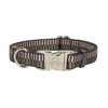 Country Brook Design - Porcelain Earth Regency Stripes Premium Dog Collar - Medium