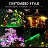 DALDED LED Lighting Kit for Lego Icons Tranquil Garden, LED Light Compatible with Lego 10315 Building Block Models (Not Include Lego Set)