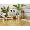 Caldrea Hand Wash Soap, Aloe Vera Gel, Olive Oil And Essential Oils To Cleanse And Condition, Gilded Balsam Birch, 10.8 Fl Oz