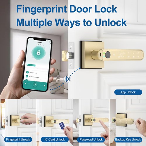 BIWIBON Fingerprint Door Lock, 5 in 1 Finger Print Door Knob with Smart APP/Fingerprint/IC Cards/Password/Backup Keys, Smart Door Knob with Keypad for Bedroom, Office, Apartment, Gold